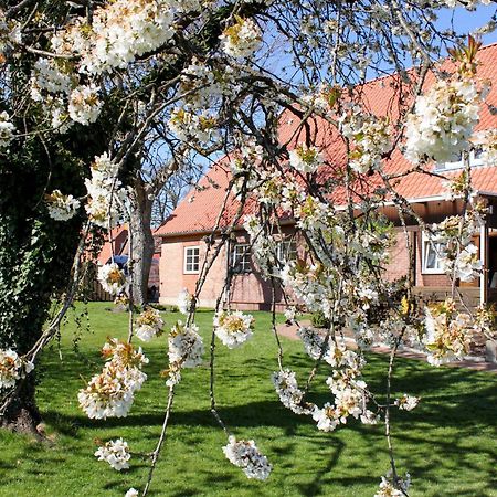 Ferienwohnung Gartenblick - A19374 Suderburg Экстерьер фото