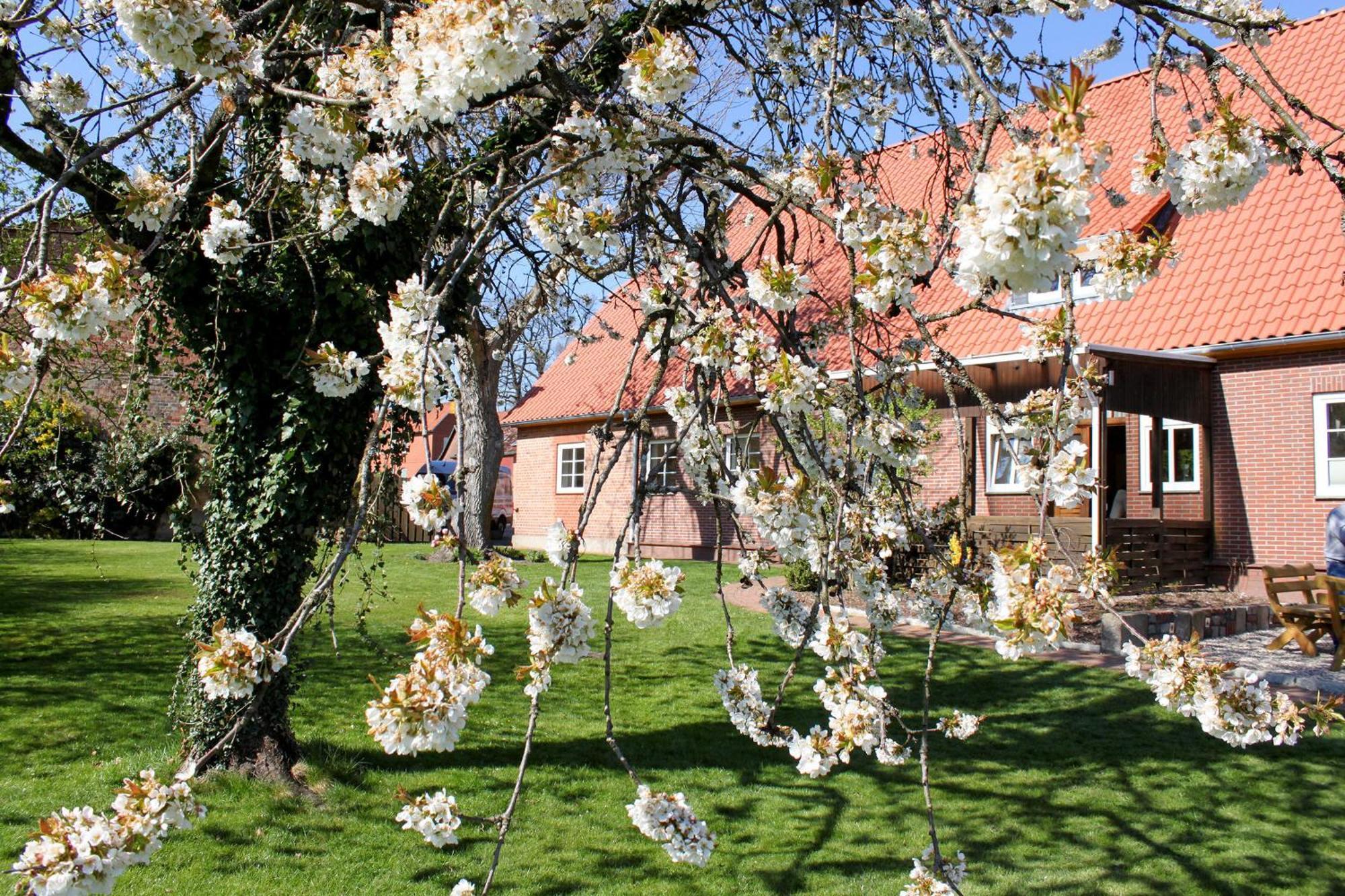 Ferienwohnung Gartenblick - A19374 Suderburg Экстерьер фото
